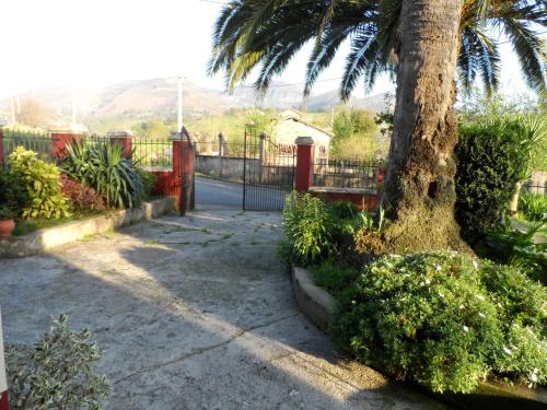 a palm tree next to a driveway with a fence at Casa El Campu in Infiesto