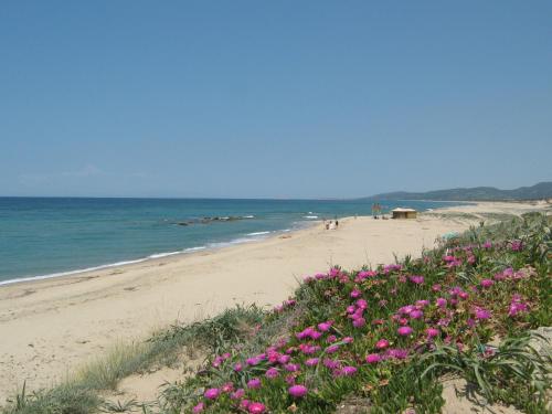 Gallery image of Marina Manna Hotel and Club Village in Valledoria