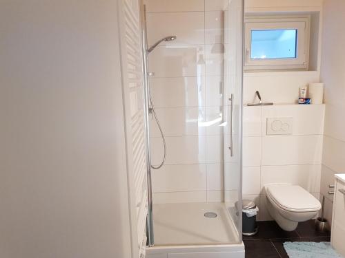 a white bathroom with a shower and a toilet at Ferienwohnung TREIBGUT in Uhldingen-Mühlhofen