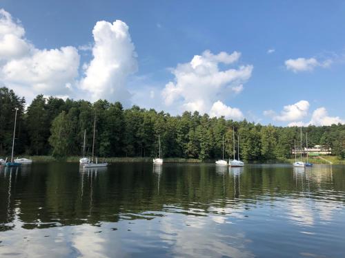 a group of boats sitting on a lake at Family & Business Sauna Apartments No1 Leśny nad Zalewem Cedzyna Unikat - 3 Bedroom with Private Sauna, Bath with Hydromassage, Terrace, Garage, Catering Options in Kielce