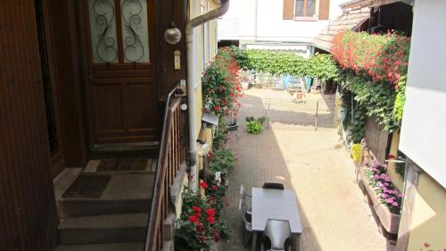 a view of a street with flowers and a door at Gîte du Vignoble in Beblenheim