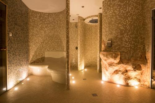 Gallery image of Arena Hotel Spa & Wellness in Tychy