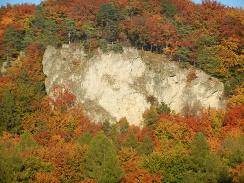 a mountain in the middle of a bunch of trees at Ferienwohnungen Porisch in Egloffstein