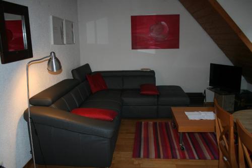 a living room with a black couch and red pillows at Ferienwohnungen Porisch in Egloffstein