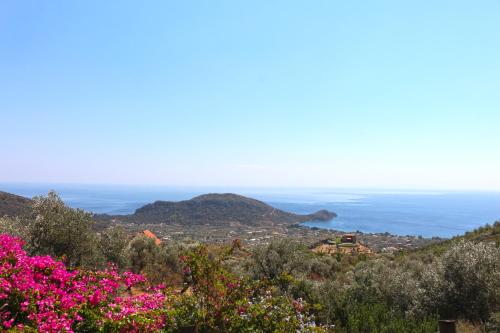 Paesaggio naturale nelle vicinanze dell'hotel