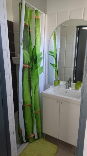 une salle de bain avec un rideau de douche et un lavabo dans l'établissement Studio, à Auch