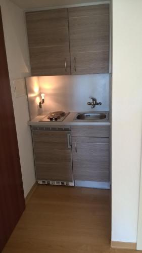 una pequeña cocina con fregadero y encimera en Ferien Apartment Antonie-Haupt-Straße en Tréveris