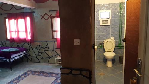 a bathroom with a toilet and a bed in a room at Les Jardins De Todgha gorges de todra tinghir in Aït Baha