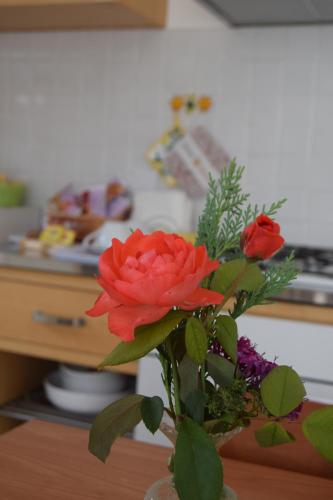 Casa Vacanza e per lavoro Tessyhouseにあるキッチンまたは簡易キッチン
