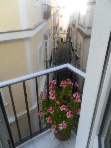 a balcony with a plant with pink flowers on it at Hostal Centro Sol in Cádiz