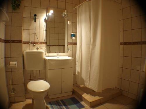 ein Bad mit einem WC, einem Waschbecken und einer Dusche in der Unterkunft Galcsik Fogadó in Salgótarján