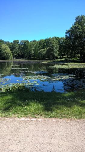 a body of water with trees in the background at Ferien Apartment Antonie-Haupt-Straße in Trier