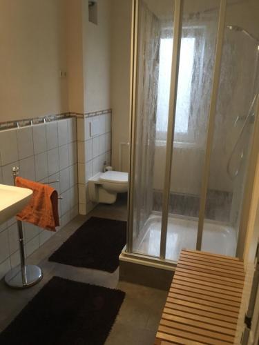 a bathroom with a shower and a sink and a toilet at Landgasthaus Queen Victoria in Stadtilm