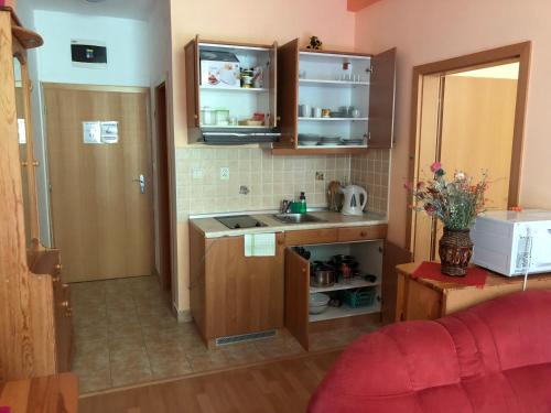 a small kitchen with a sink and a counter at Apartmány Bea Donovaly in Donovaly