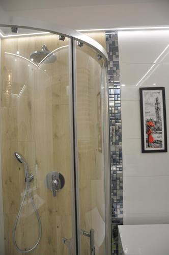 a shower with a glass door in a bathroom at Golden Apartments - City Centrum in Białystok