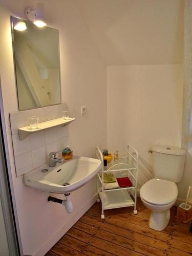 a bathroom with a sink and a toilet at Chambres d'hôtes Frehel in Fréhel