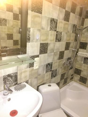 a bathroom with a toilet and a sink and a shower at Апартаменти біля дельфінарію in Truskavets