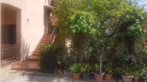a bunch of plants in front of a building at La Vigna For Family in La Maddalena