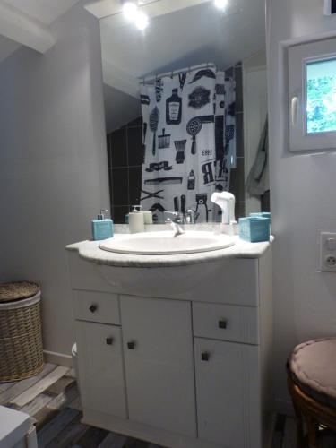 een badkamer met een wastafel en een spiegel bij APPART D'HOTES BRIVE OUEST (USSAC) in Ussac