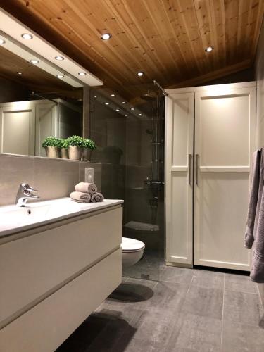 a bathroom with a sink and a shower and a toilet at Svenskveien 23b in Røros