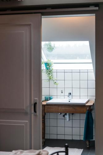 a bathroom with a sink and a window at B&B Art.14 in Morkhoven