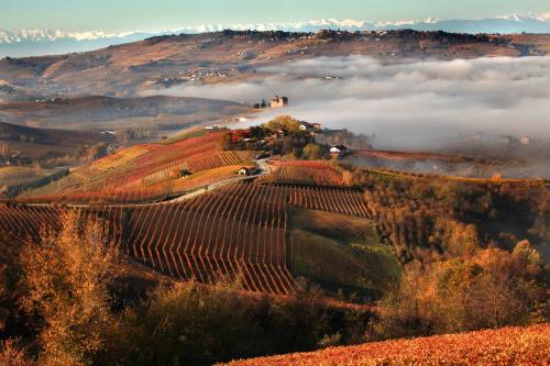 a view of a vineyard in the hills with clouds at Appartamento Vandero in Alba