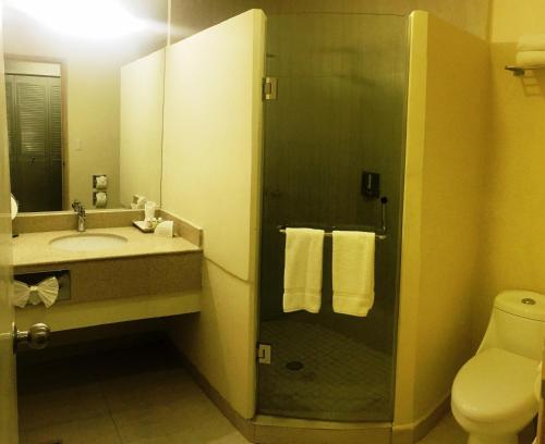 Bilik mandi di Best Western Plus Hotel Terraza