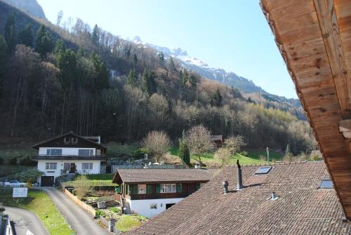 a view from the roof of a house with a mountain at Hotel Châlet Du Lac in Iseltwald