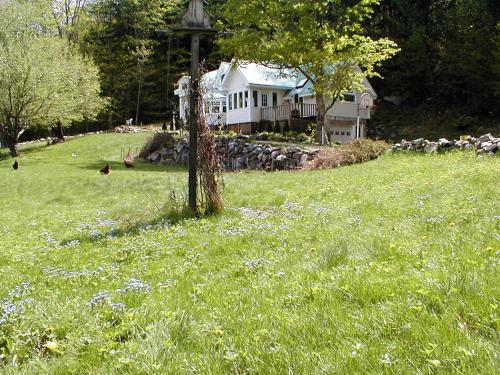 a field with a house and a flock of sheep at Mountain Valley Retreat in Killington