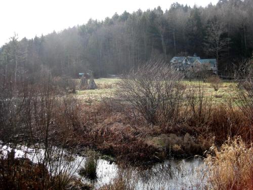 a house in the middle of a field with trees at Mountain Valley Retreat in Killington