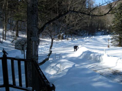 a dog walking down a snow covered path with a fence at Mountain Valley Retreat in Killington