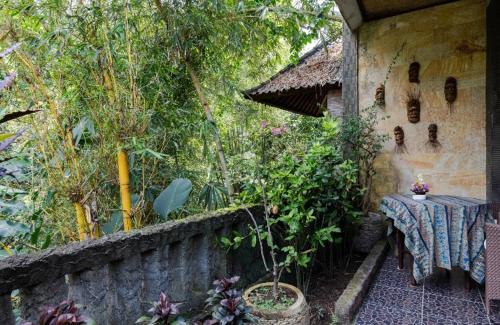 Κήπος έξω από το Rumah Kelinci
