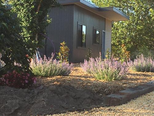 a garden with purple flowers in front of a house at The Folly in Glenorie