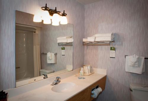 Koupelna v ubytování Quality Inn Richfield I-70
