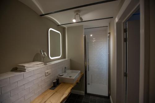 a bathroom with a sink and a mirror and a shower at Antonine's Atelier in Hingene