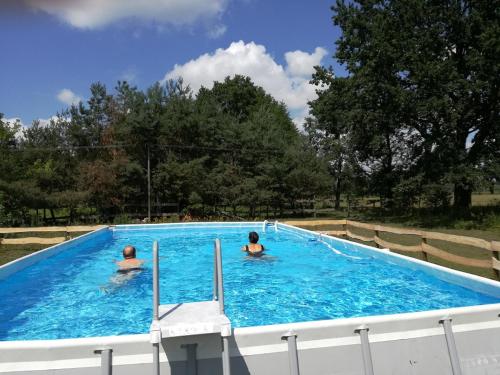 Bazén v ubytování Agroturystyka Pod Modrzewiami nebo v jeho okolí