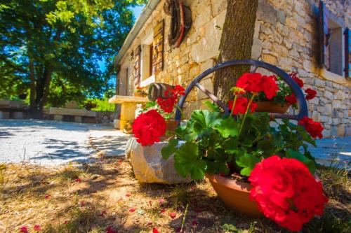 Holiday House Legovic – Photos 3