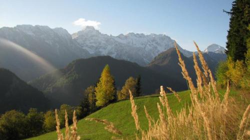 a green field with mountains in the background at Shepherds House "Alpine Dreams" in Solčava