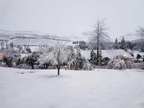 Το 124 Fairways Drakensberg Gardens τον χειμώνα