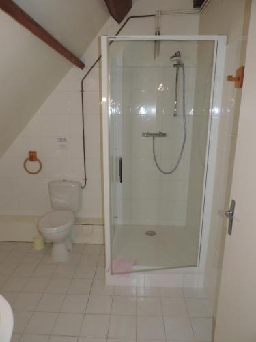 a bathroom with a shower and a toilet at Chambres d'hôtes Domaine De La Jonquière, Bouloire in Bouloire