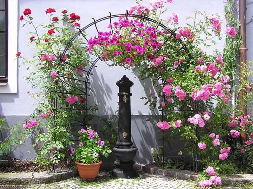 a garden with pink flowers and a black pole at Penzion a restaurace U Míšků in Třeboň