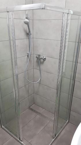 a shower with a shower head in a bathroom at Apartament nr 15 - 2 pokoje z prywatnymi łazienkami Centrum Poznań in Poznań