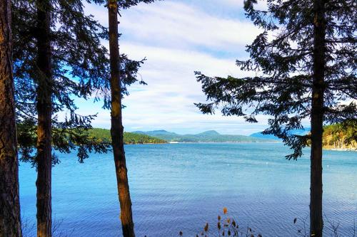 a view of a lake from between two trees at 57 Mud Bay in Islandale