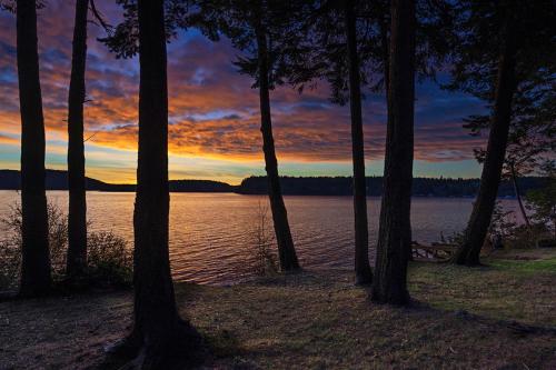 a sunset over a body of water with trees at 57 Mud Bay in Islandale