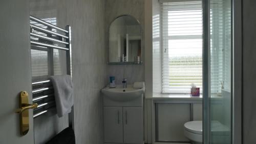 a bathroom with a sink and a toilet and a mirror at Riverside Apartments in Carluke