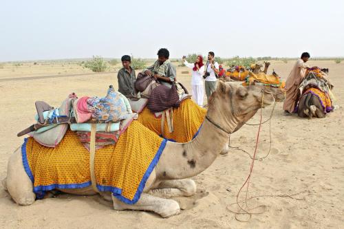 a group of people riding on the back of a camel at Boutique Helsinki in Jaisalmer