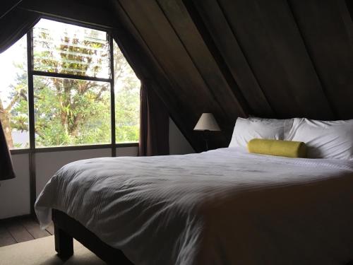a bed with a yellow pillow in a room with a window at Villa Calas in Vara Blanca