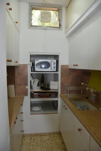 a small kitchen with a sink and a microwave at Ein Gedi Family Apartment in Ein Gedi