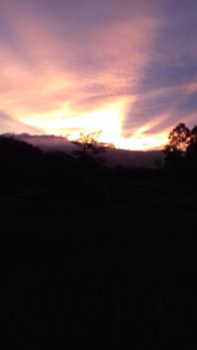 a sunset over a field with trees in the foreground at De Salak Homestay in Bogor