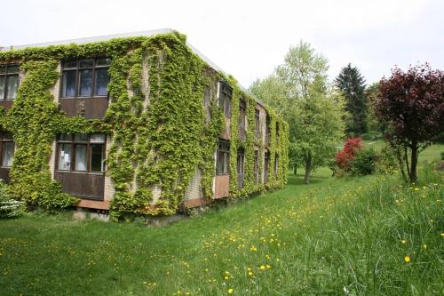 ein mit Efeu bedecktes Gebäude auf einem Grasfeld in der Unterkunft Sonnenschein Appartement in Ober-Hambach